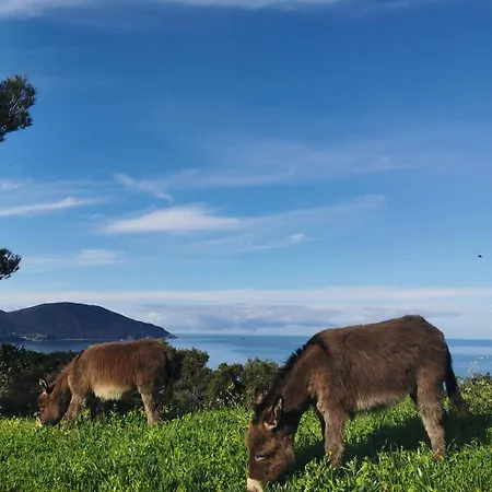 Village De Paese Di Lava, Grand Ajaccio