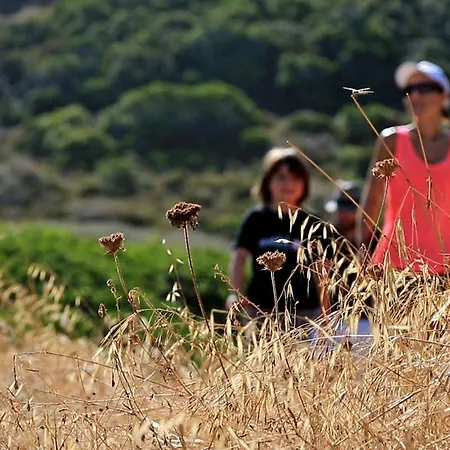 Village De Paese Di Lava, Grand Ajaccio Alata