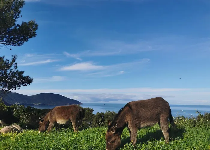 Village De Paese Di Lava, Grand Ajaccio