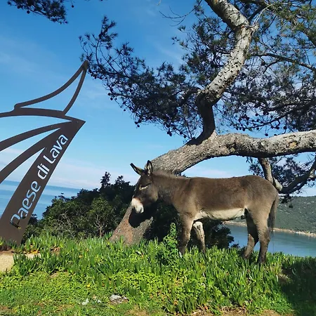Szálloda Village De Paese Di Lava, Grand Ajaccio