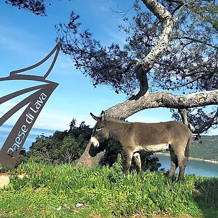 Village De Paese Di Lava, Grand Ajaccio Hotel 3*