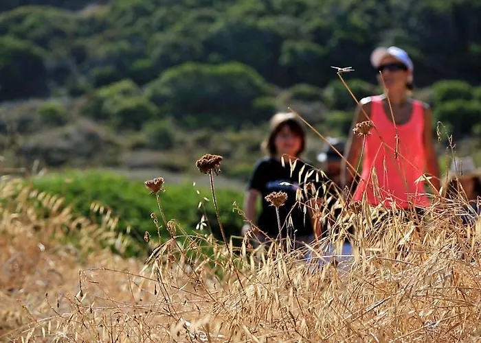 Village De Paese Di Lava, Grand Ajaccio Alata