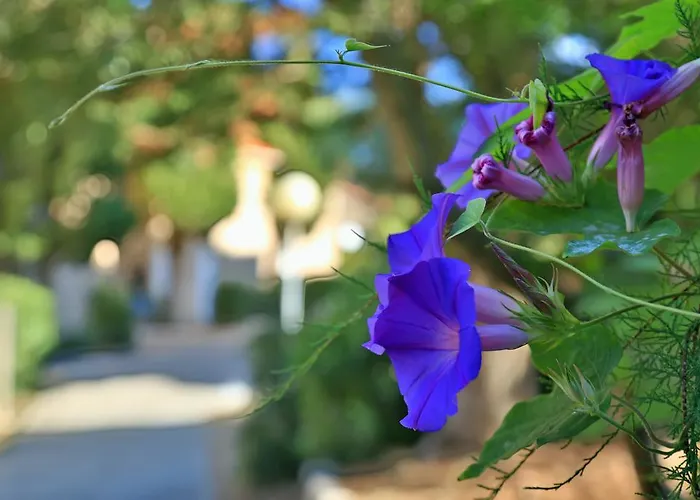 Village De Paese Di Lava, Grand Ajaccio